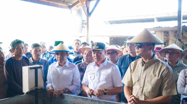 Anwar Hafid saat mendampingi Menteri Transmigrasi memetik buah kopi di lahan masyarakat di dusun Tokelemo desa Lembantogoa Kabupaten Sigi.