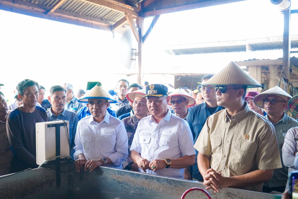 Anwar Hafid saat mendampingi Menteri Transmigrasi memetik buah kopi di lahan masyarakat di dusun Tokelemo desa Lembantogoa Kabupaten Sigi.