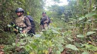 melaksanakan patroli jalur klasik selama tujuh hari secara bergantian di wilayah Tambarana-Kalora, Kecamatan Poso Pesisir Utara.